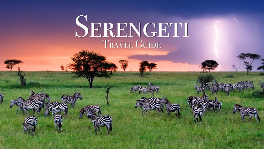 Best Places to Stay in Serengeti