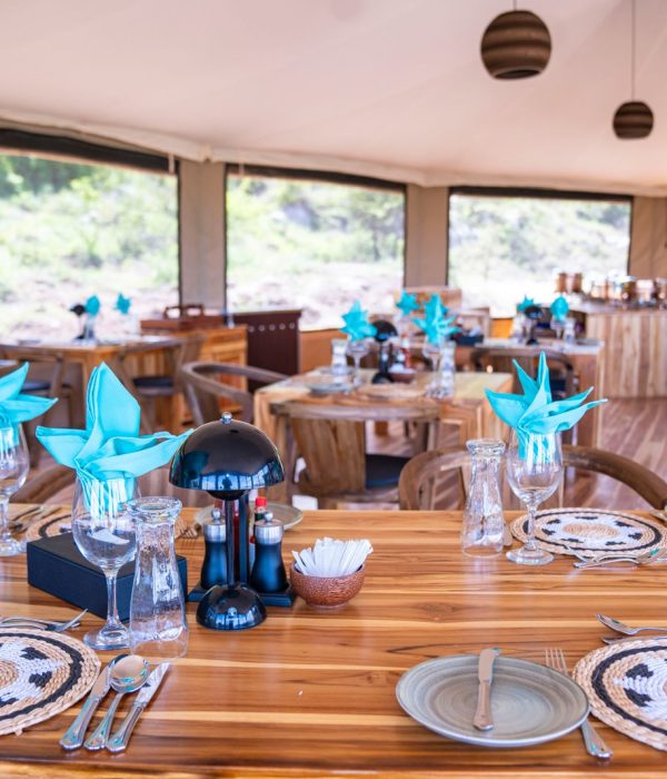 Baobab Naabi Luxury Camp (25)
