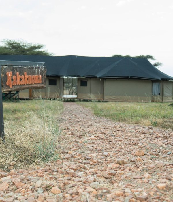 Baobab Naabi Luxury Camp