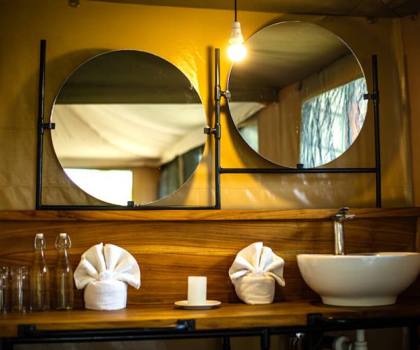 New Baobab Koga-1085