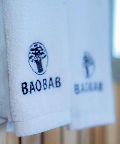 central serengeti camp13