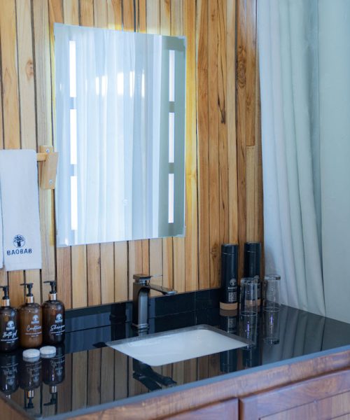 central serengeti camp14